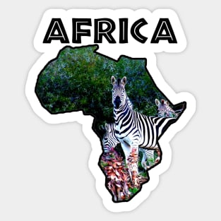 African Wildlife Continent Zebra Aloe Sticker